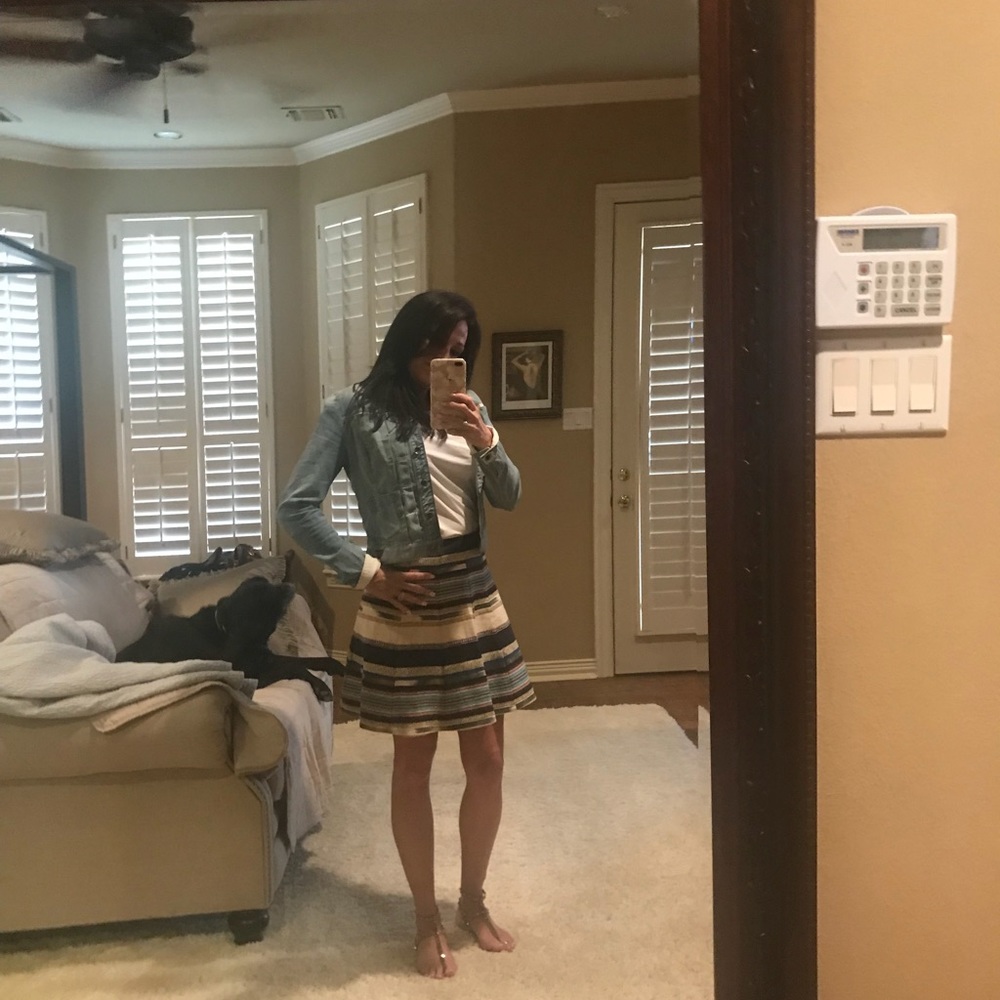Chloe Oliver Skirt from Anthropologie